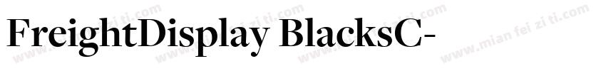 FreightDisplay BlacksC字体转换